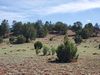 Off Of Dusty Ranch Road photo